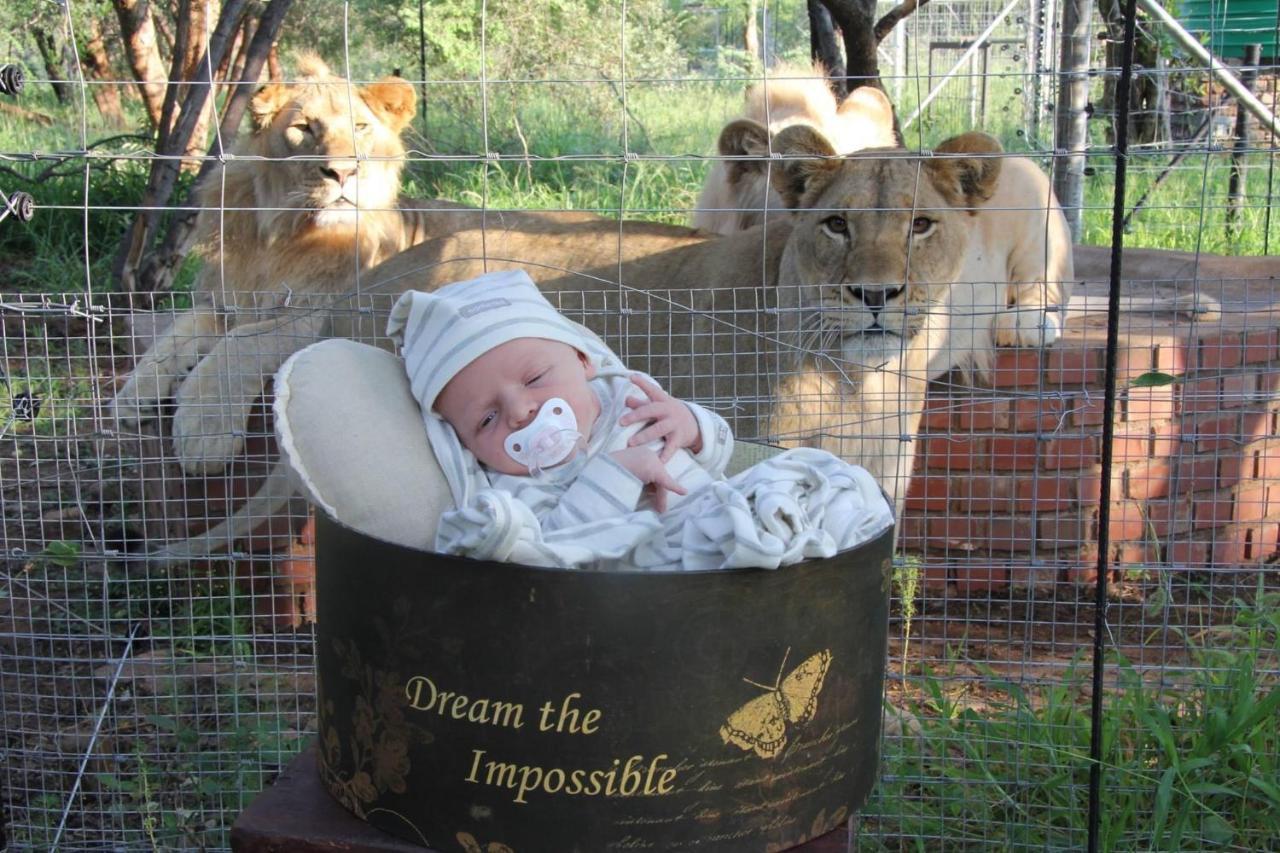 Simba Safaris African Pride Exotic Lodge Lephalale Екстер'єр фото