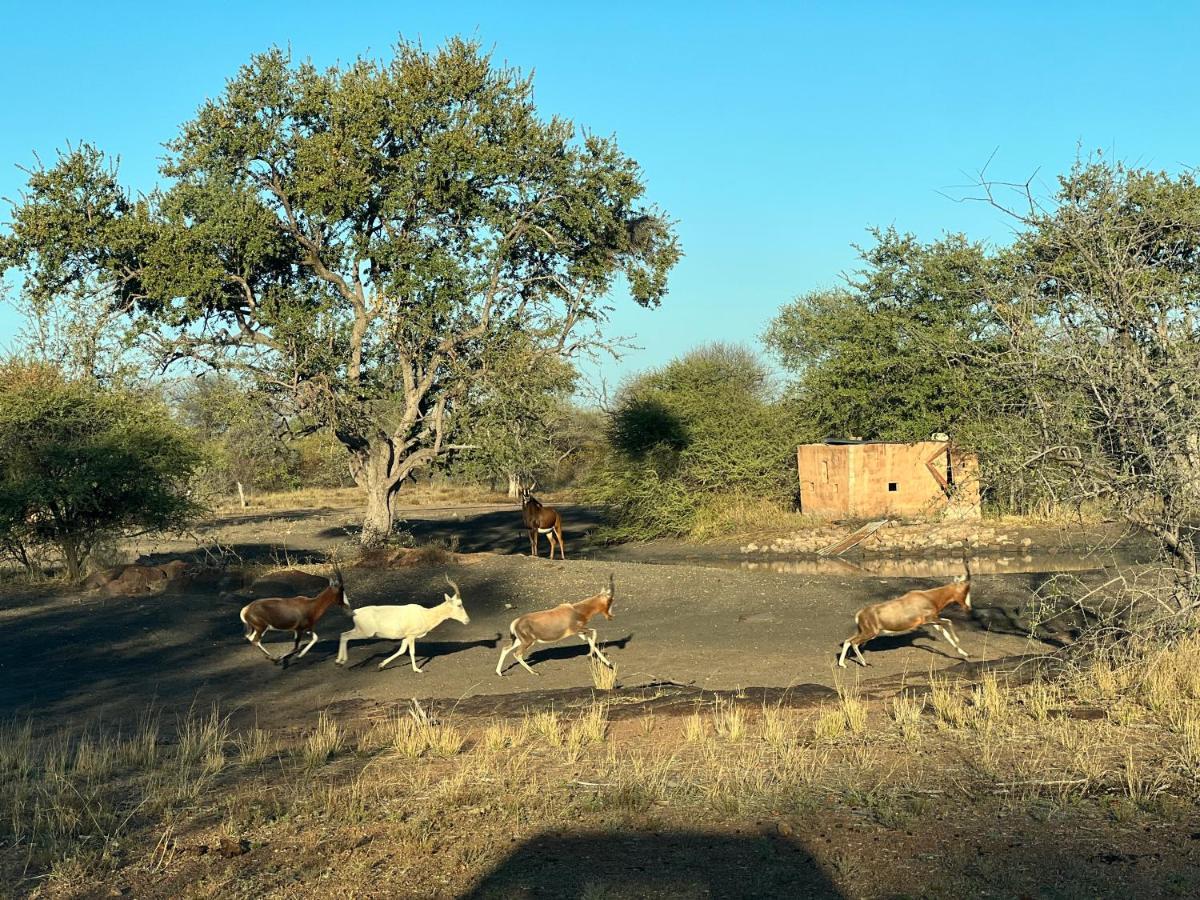 Simba Safaris African Pride Exotic Lodge Lephalale Екстер'єр фото