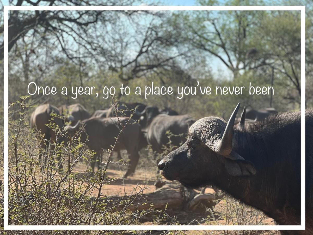 Simba Safaris African Pride Exotic Lodge Lephalale Екстер'єр фото