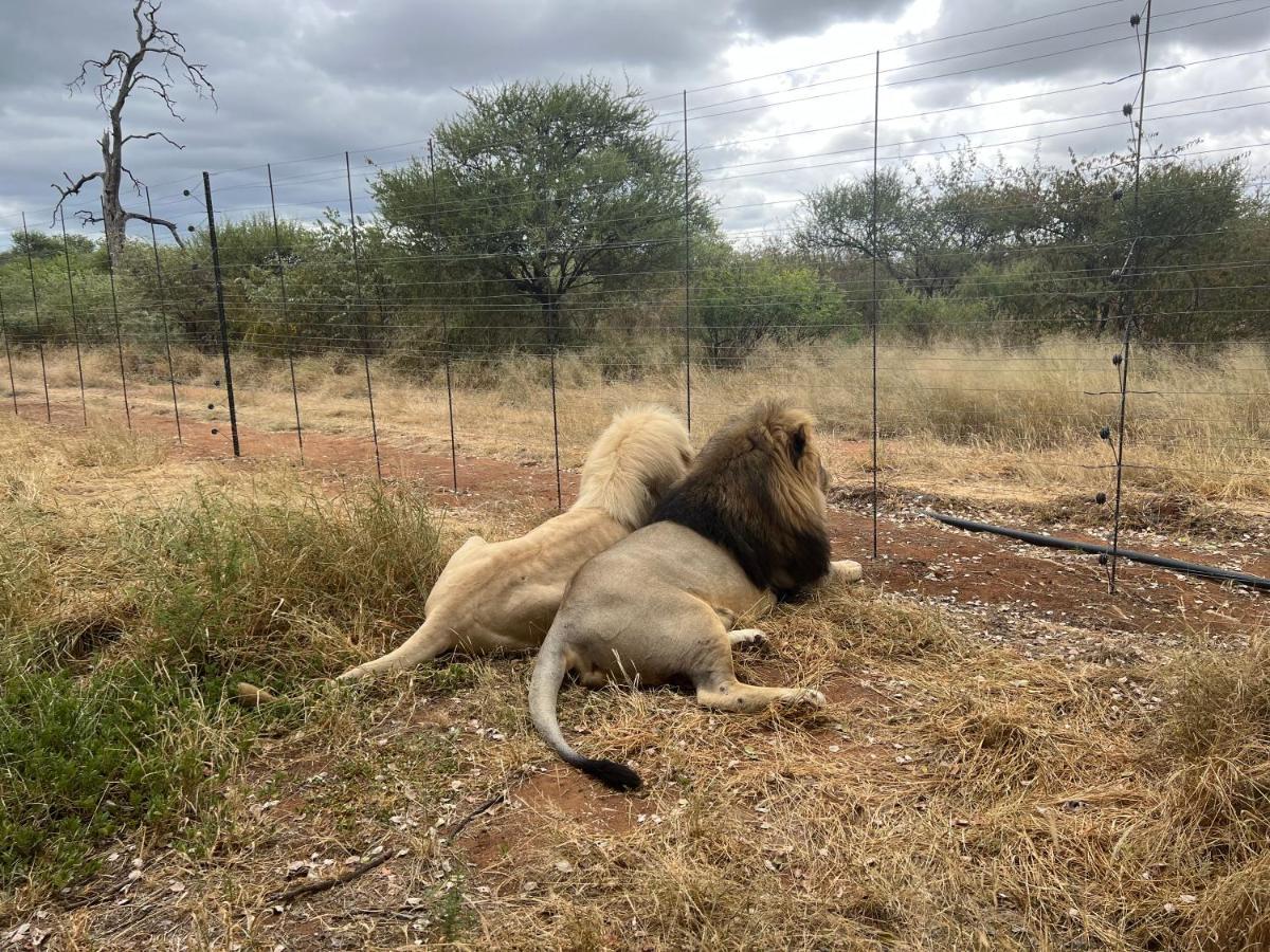 Simba Safaris African Pride Exotic Lodge Lephalale Екстер'єр фото