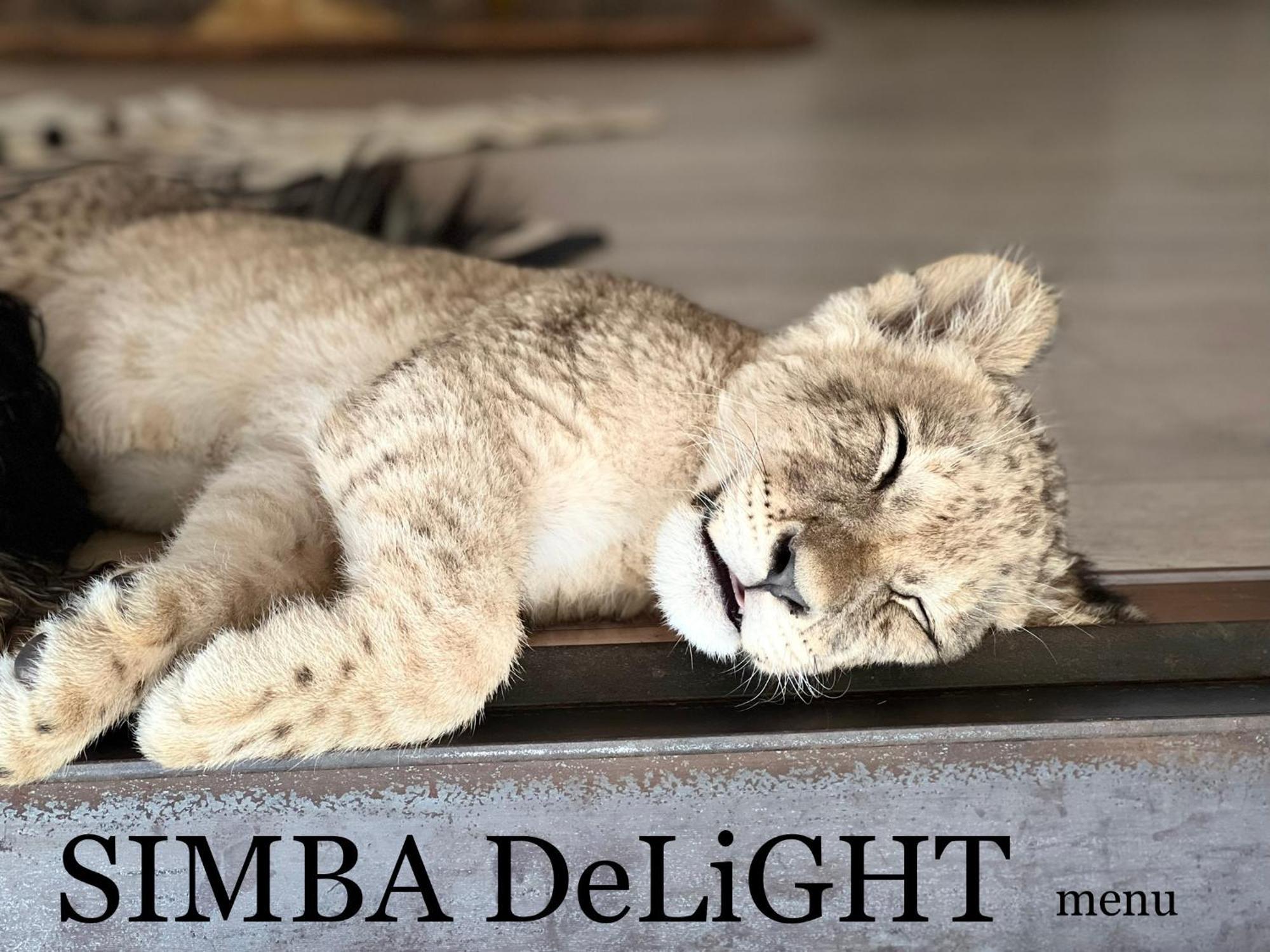 Simba Safaris African Pride Exotic Lodge Lephalale Екстер'єр фото