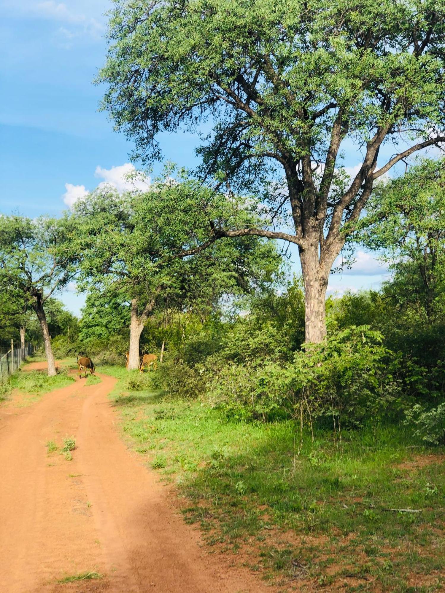 Simba Safaris African Pride Exotic Lodge Lephalale Екстер'єр фото