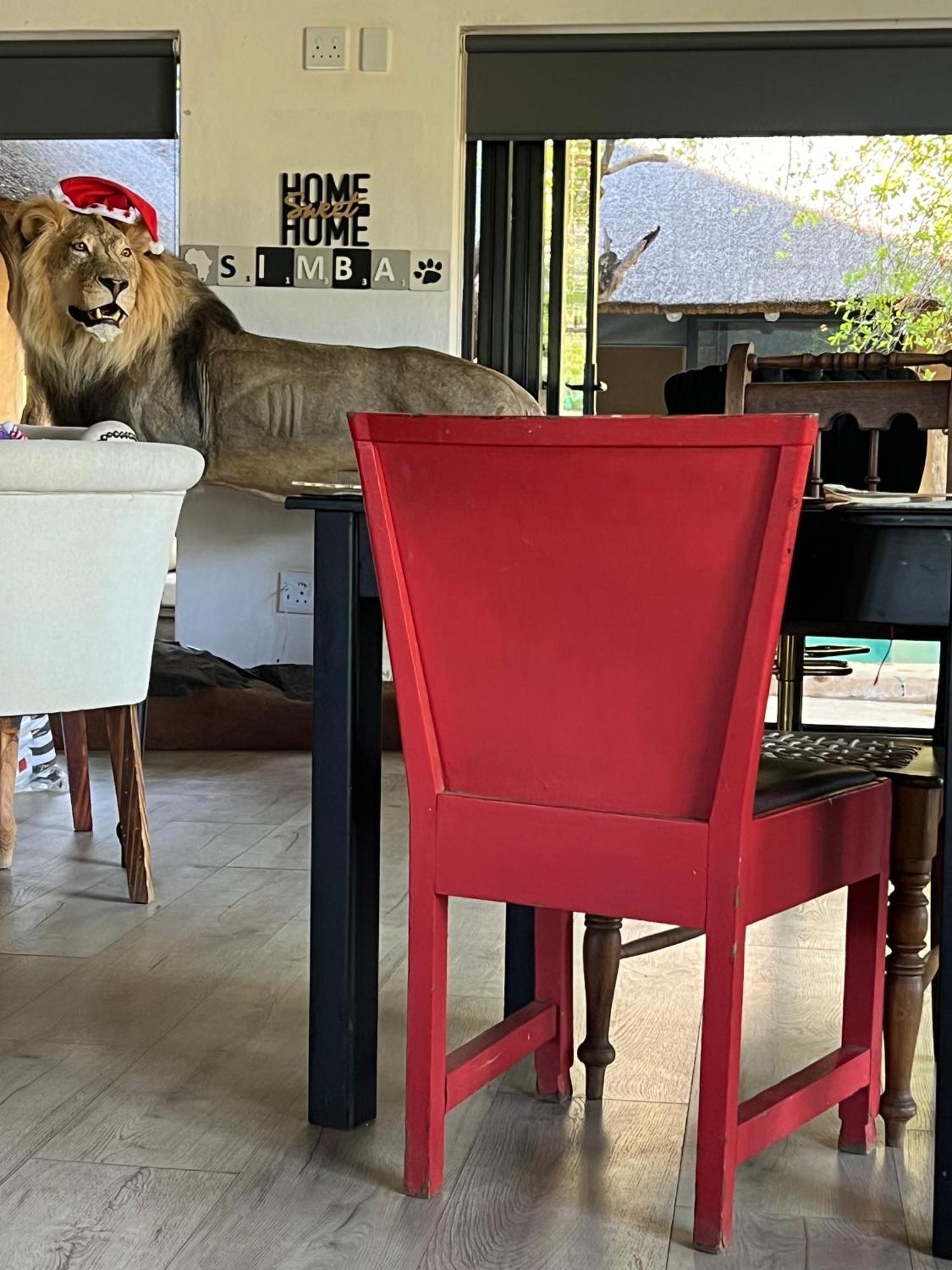 Simba Safaris African Pride Exotic Lodge Lephalale Екстер'єр фото