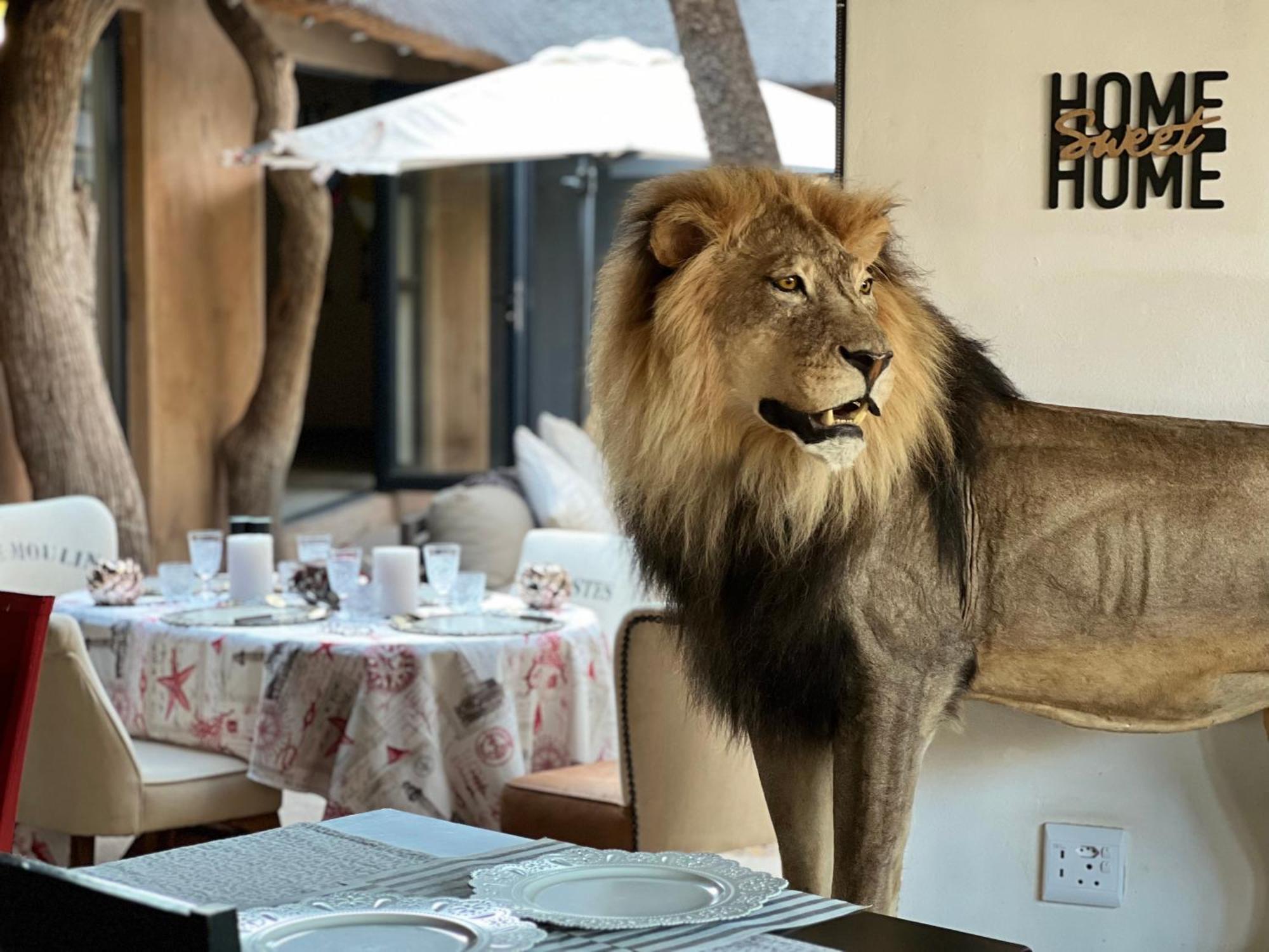 Simba Safaris African Pride Exotic Lodge Lephalale Екстер'єр фото