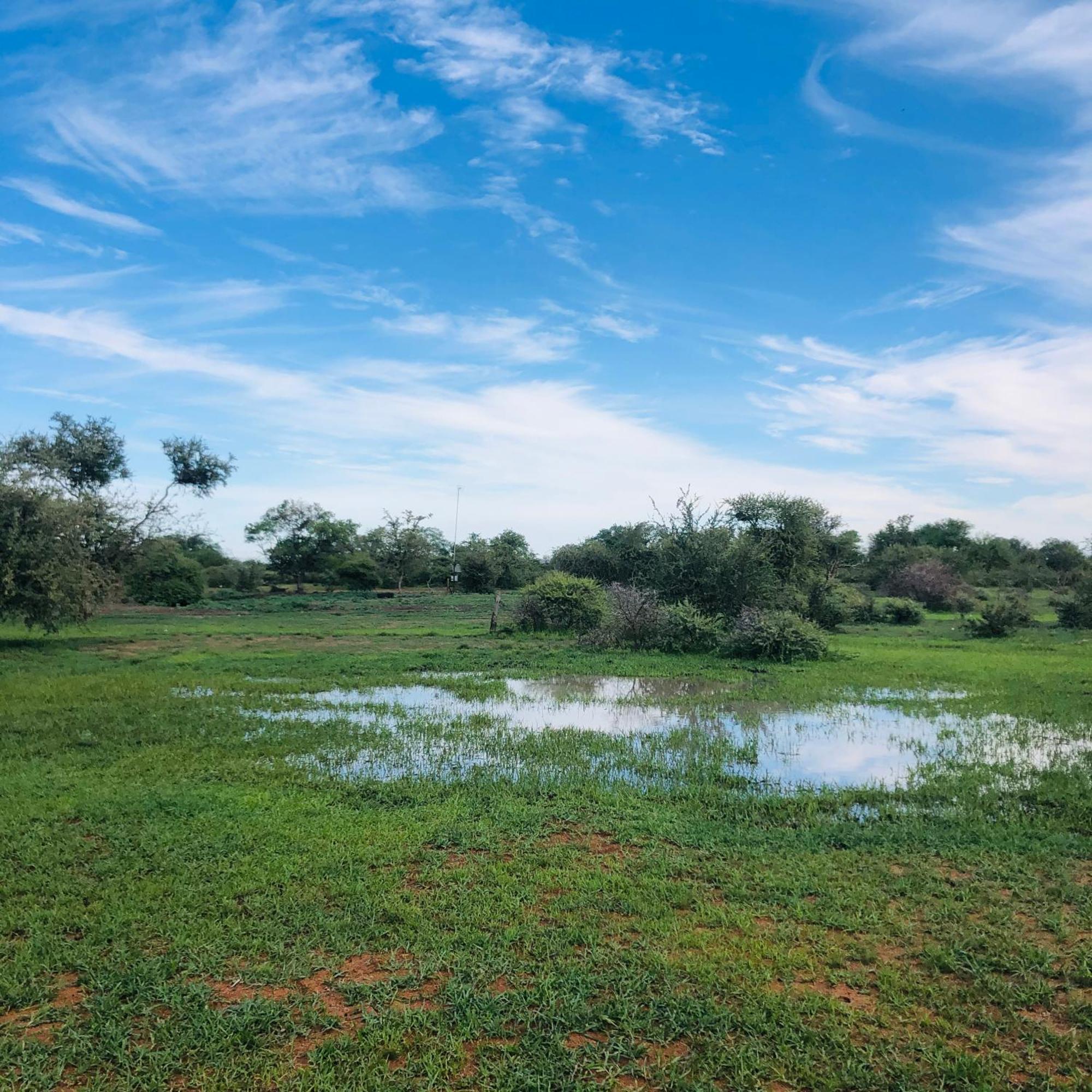 Simba Safaris African Pride Exotic Lodge Lephalale Екстер'єр фото
